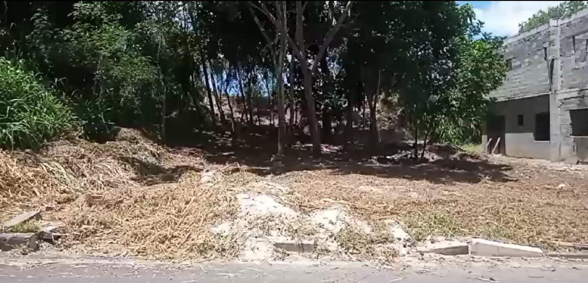 Foto - Simões Filho - 