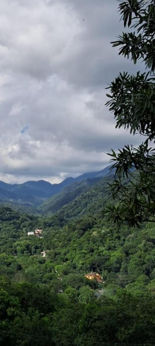 Foto - Cachoeiras de Macacu - Boca do Mato