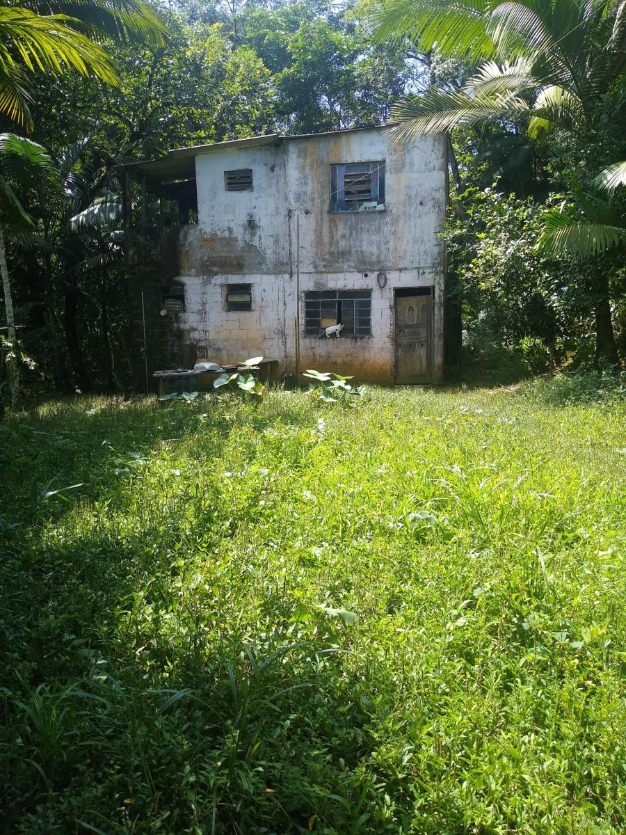 Foto - Sete Barras - Santa Cruz