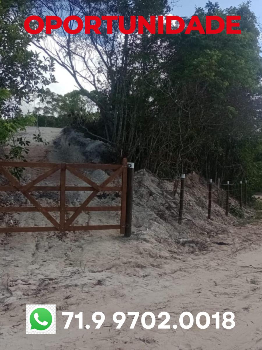 Foto - Simões Filho - Cia I