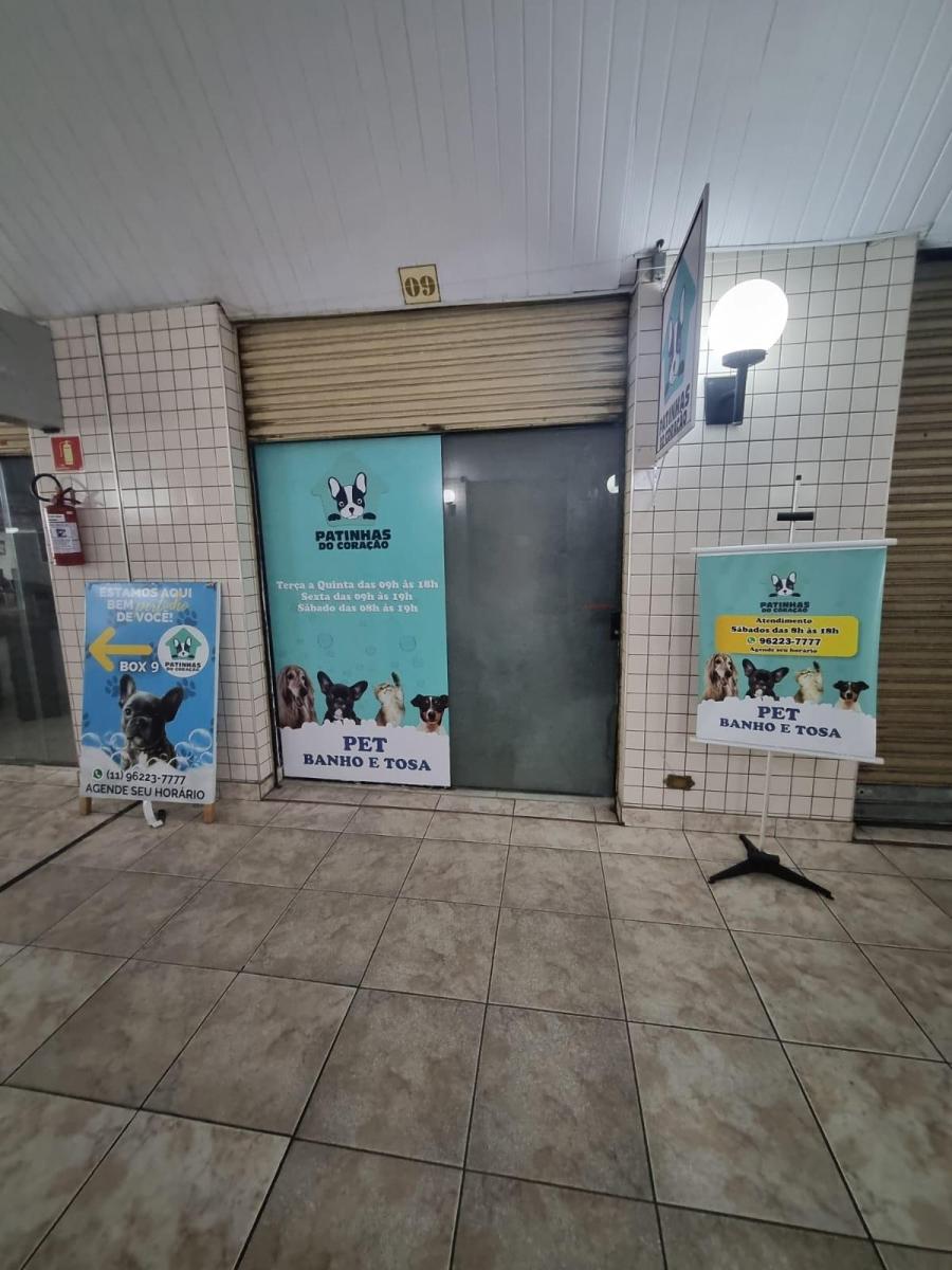 Foto - São Paulo - Mirandópolis