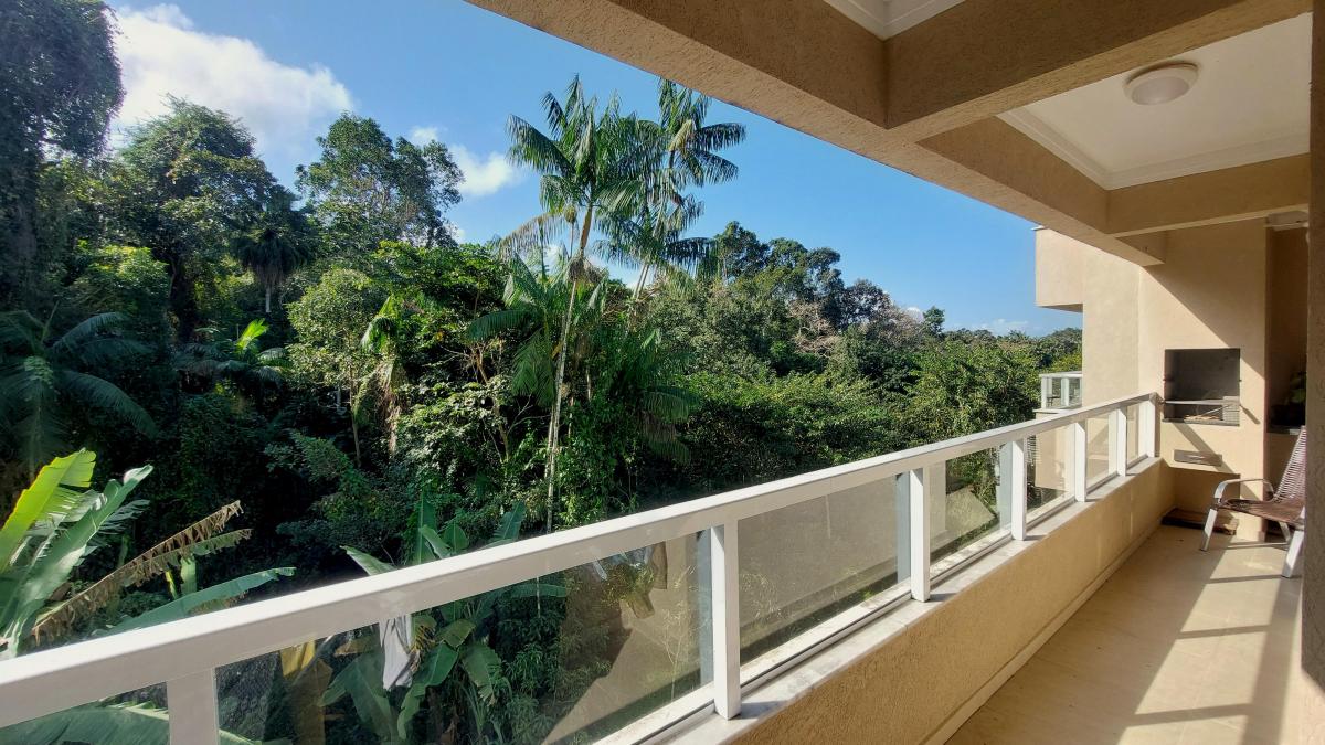 Foto - Ubatuba - Toninhas