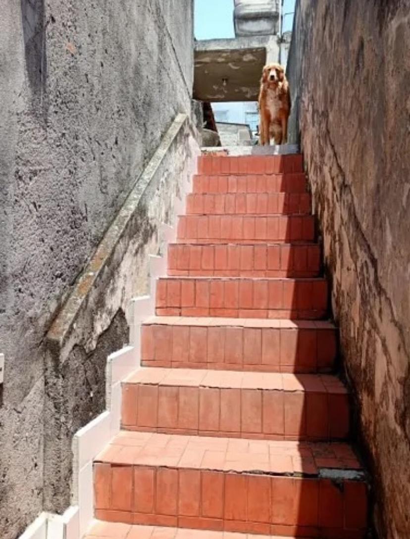 Foto - São Paulo - Vila Mira