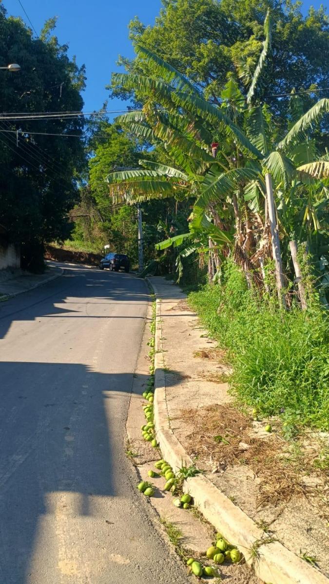 Foto - Francisco Morato - Chácaras R S Aleixo