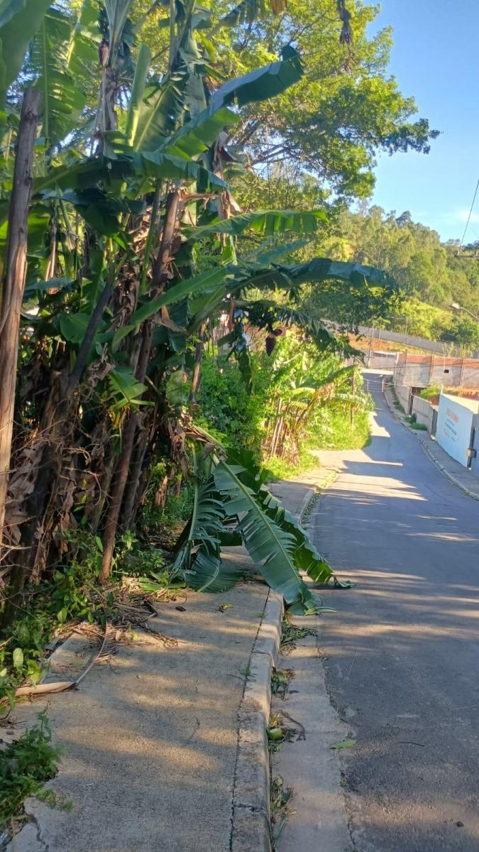 Foto - Francisco Morato - 