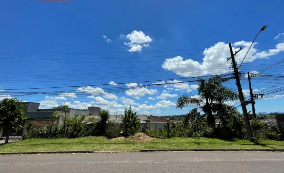 Foto - Curitiba - Bairro Alto