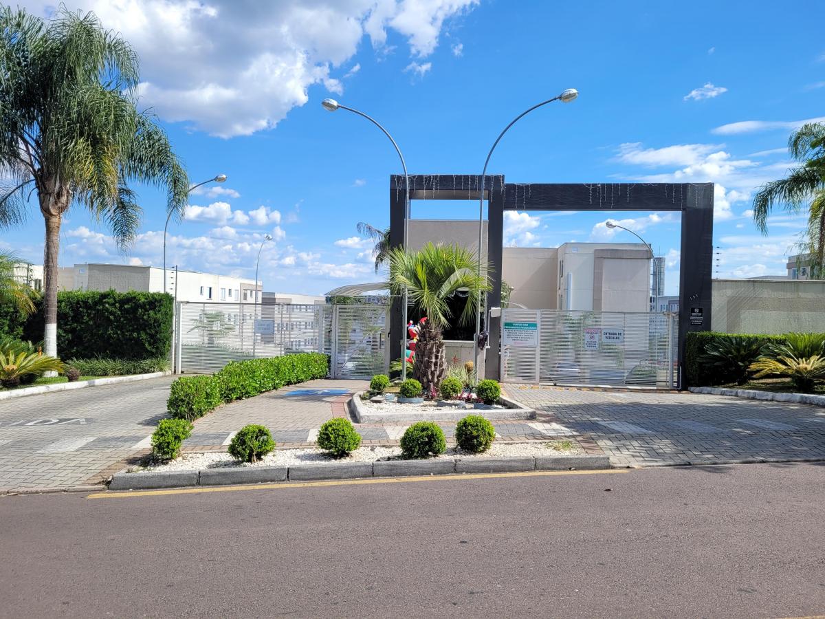 Foto - Araucária - Cachoeira