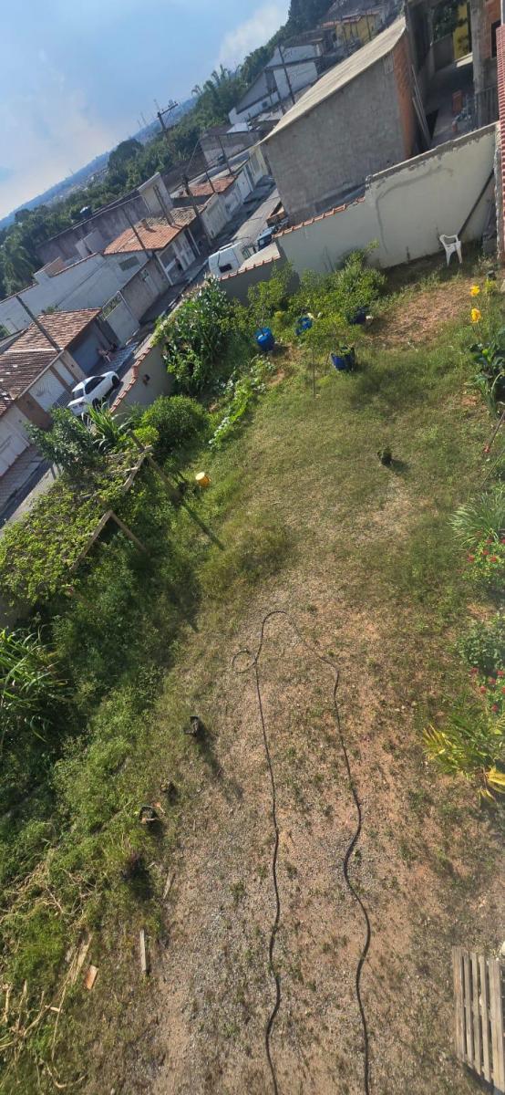 Foto - Mogi das Cruzes - Braz Cubas