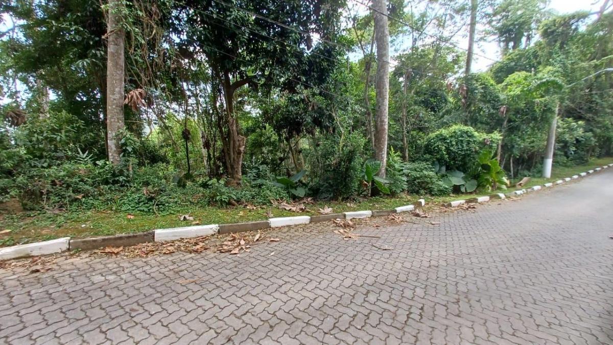 Foto - Embu das Artes - 