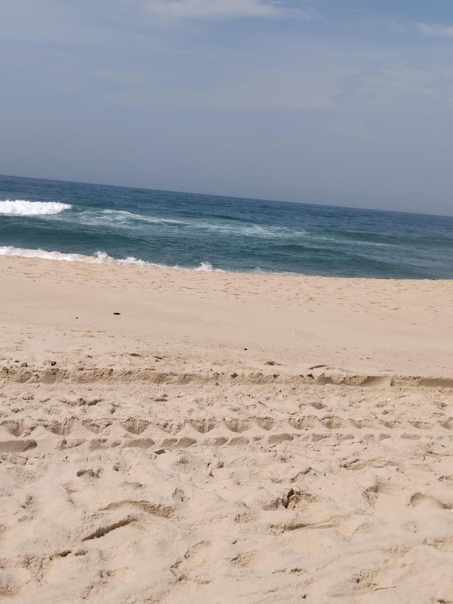 Foto - Rio de Janeiro - Vargem Grande