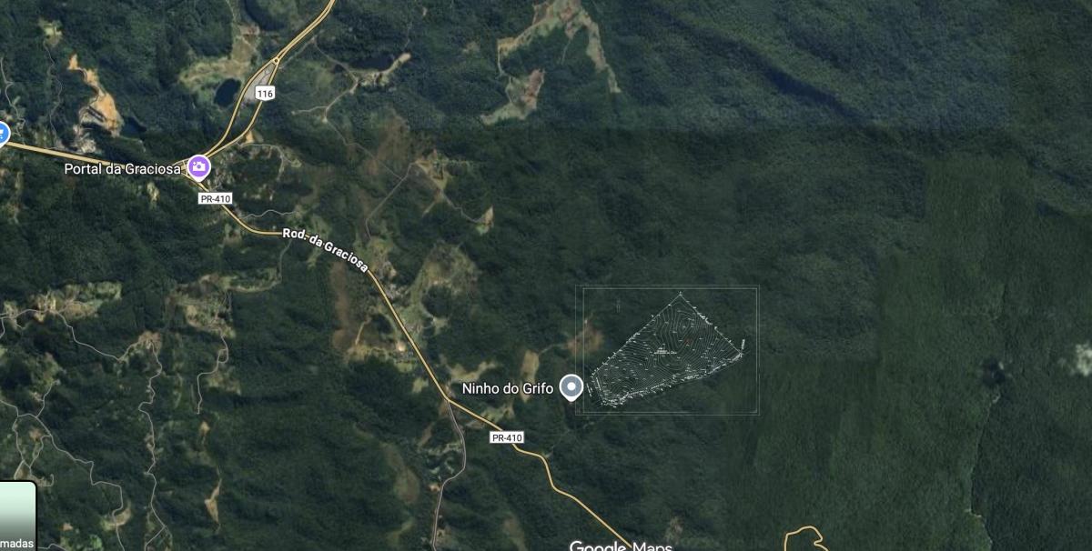 Foto - Campina Grande do Sul - 