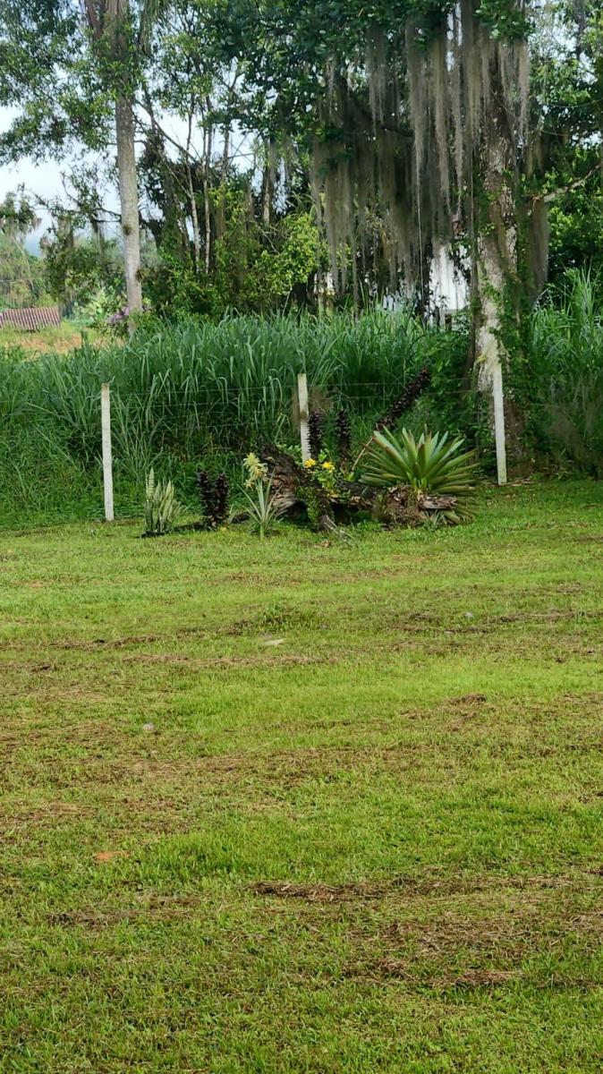 Foto - Morretes - Centro