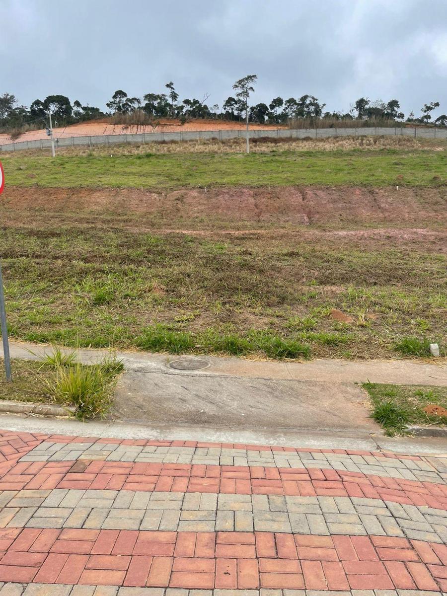 Foto - Juiz de Fora - Vina Del Mar
