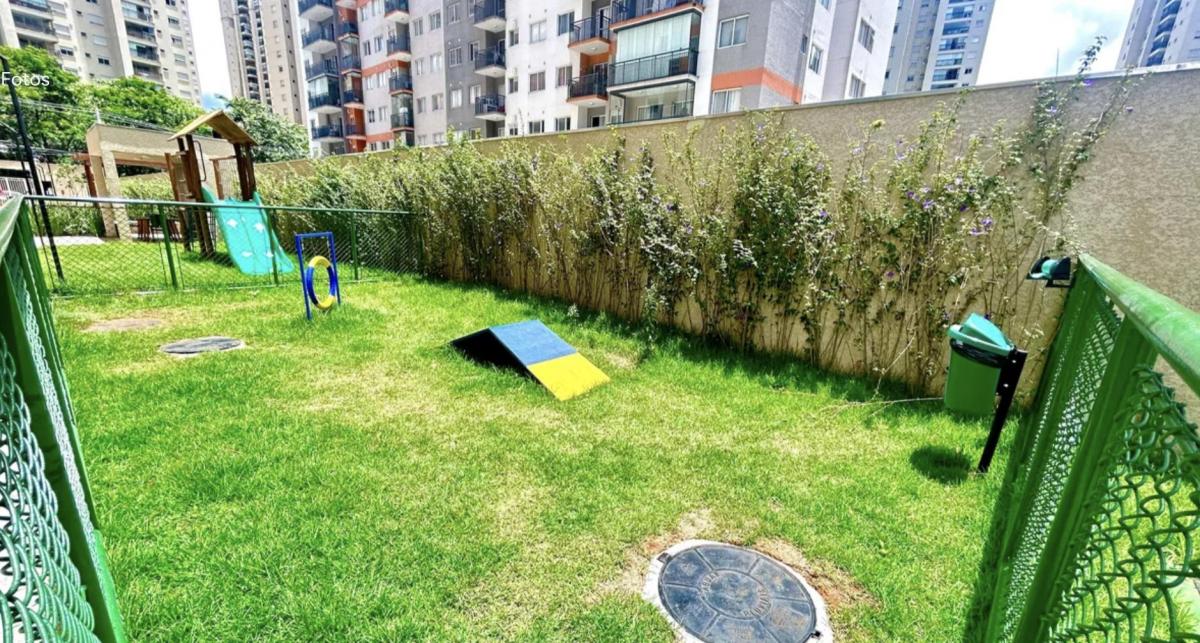 Foto - Guarulhos - Picanço