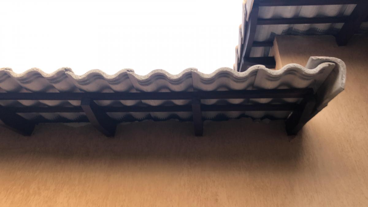 Foto - Guará - Guara II