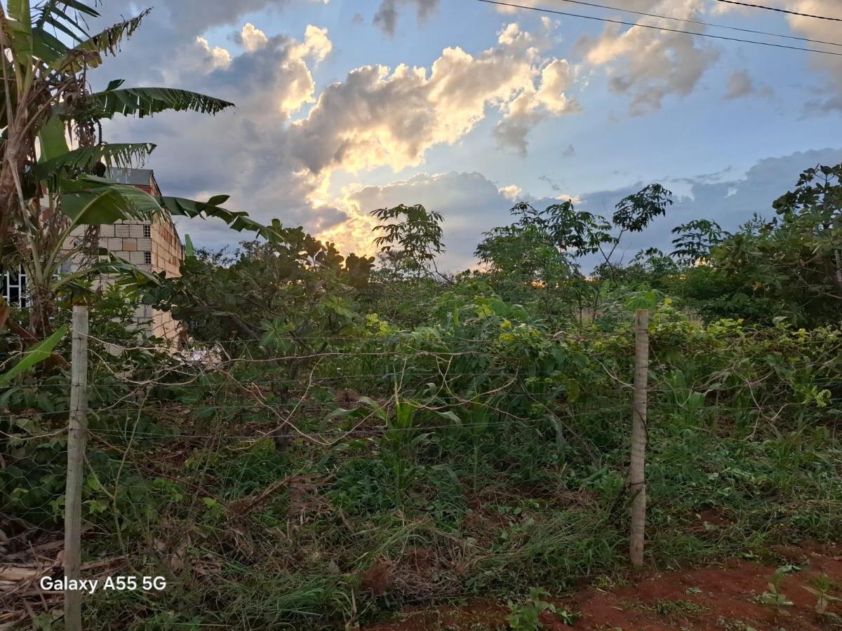 Foto - Gama - Ponte Alta