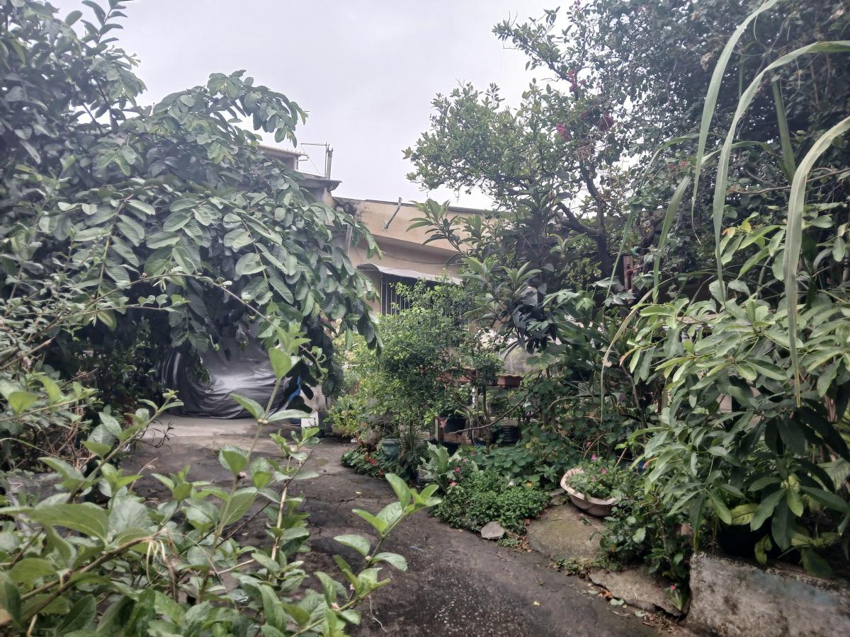 Foto - São Paulo - Ermelino Matarazzo