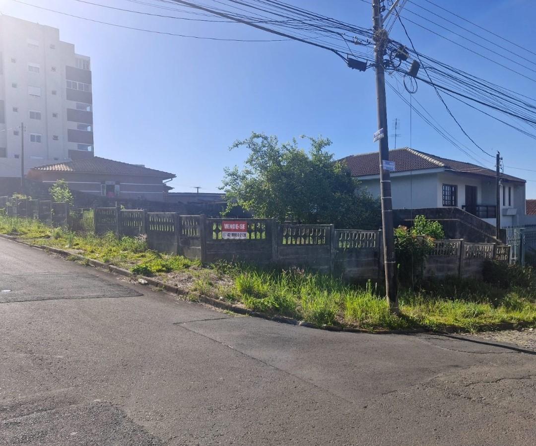 Foto - Ponta Grossa - Orfãs