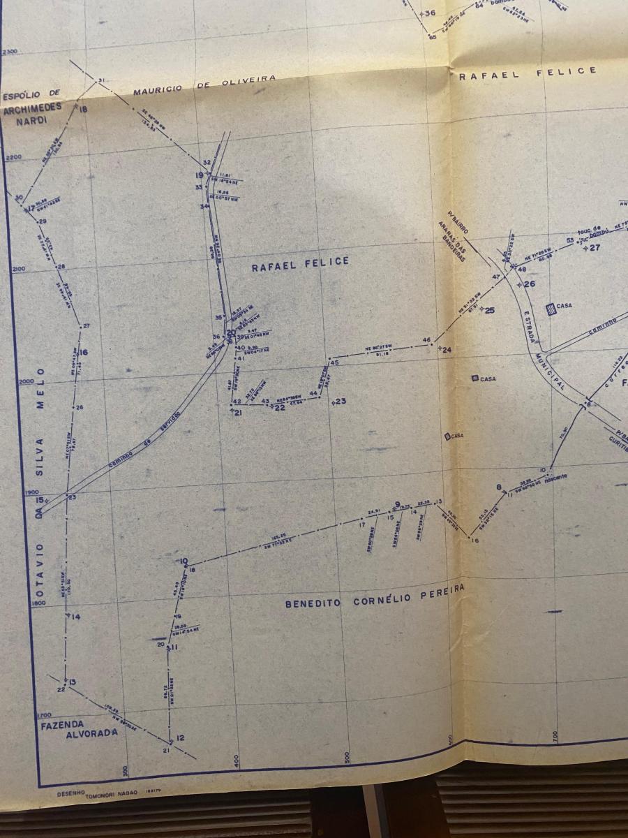 Foto - Bragança Paulista - Arara dos Pereiras