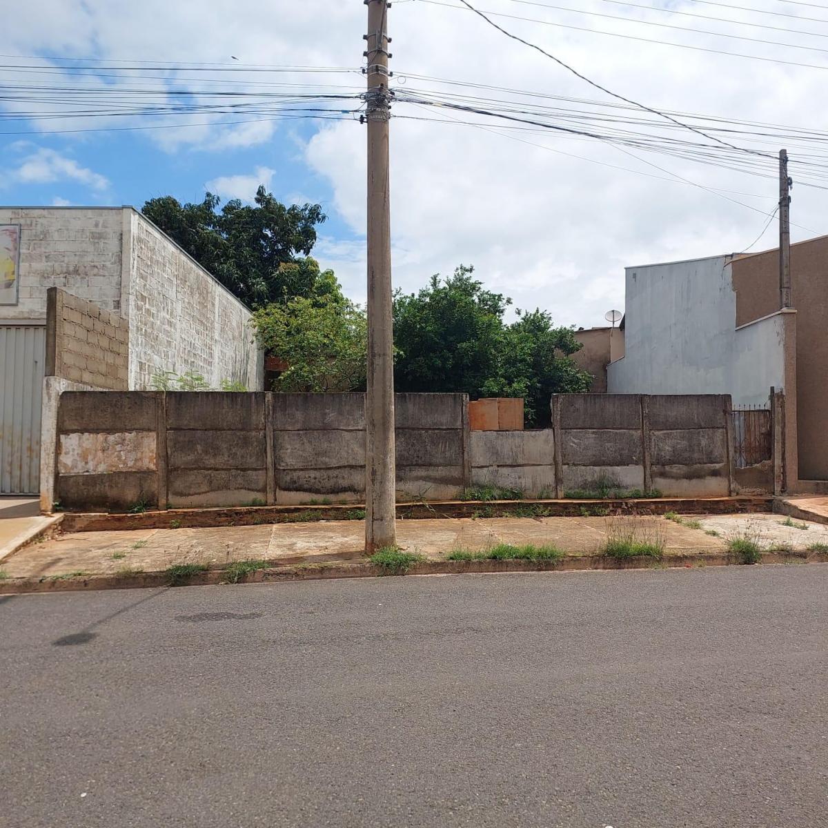 Foto - Fernandópolis - 