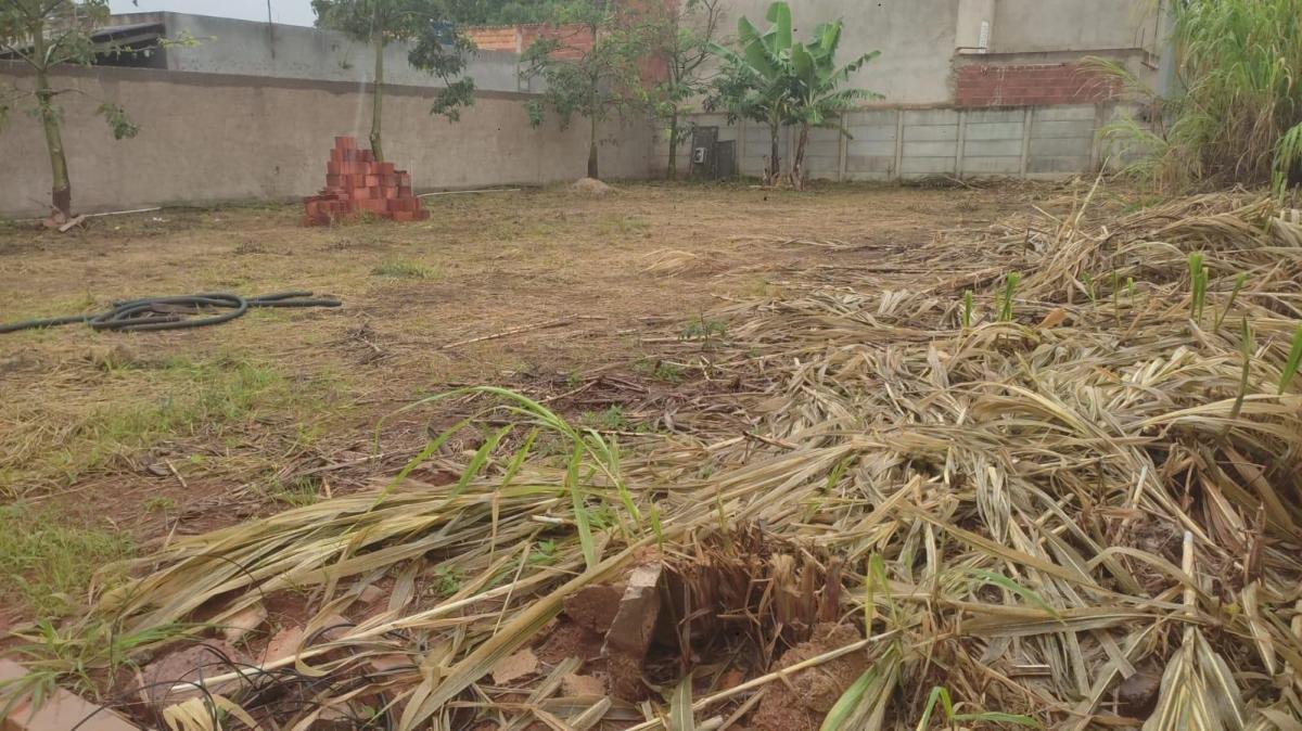 Foto - Gama - Ponte Alta