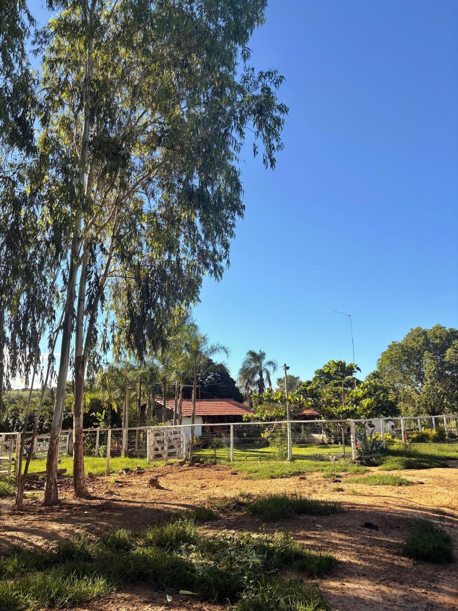 Foto - Unaí - Zona Rural