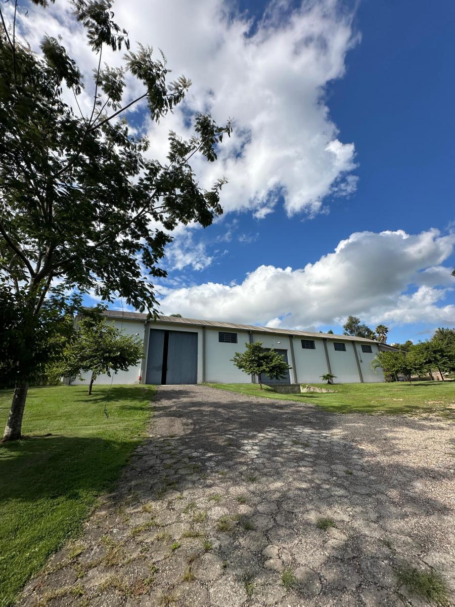 Foto - Quitandinha - 