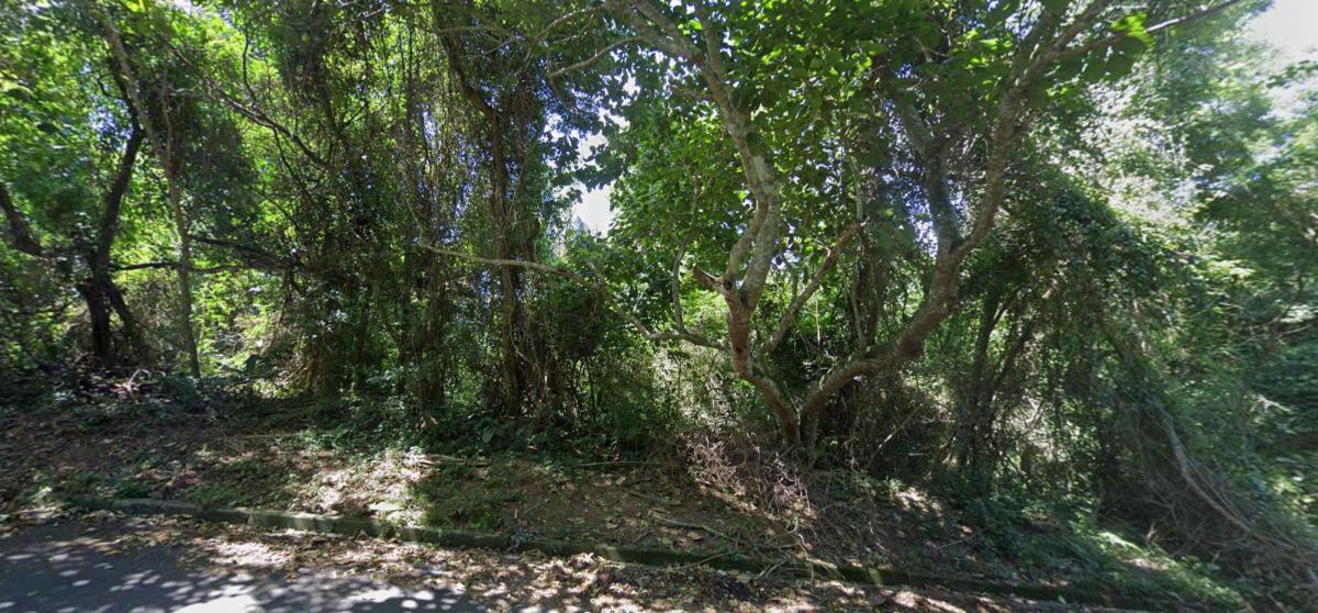 Foto - Cotia - Jardim Honória