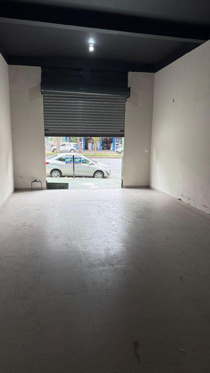 Foto - Belo Horizonte - Floresta