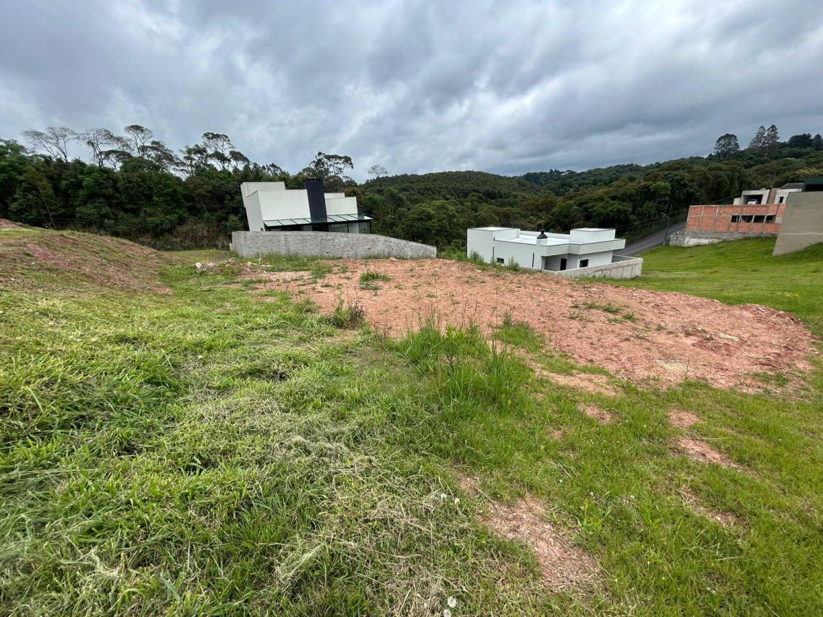 Foto - Colombo - Atuba