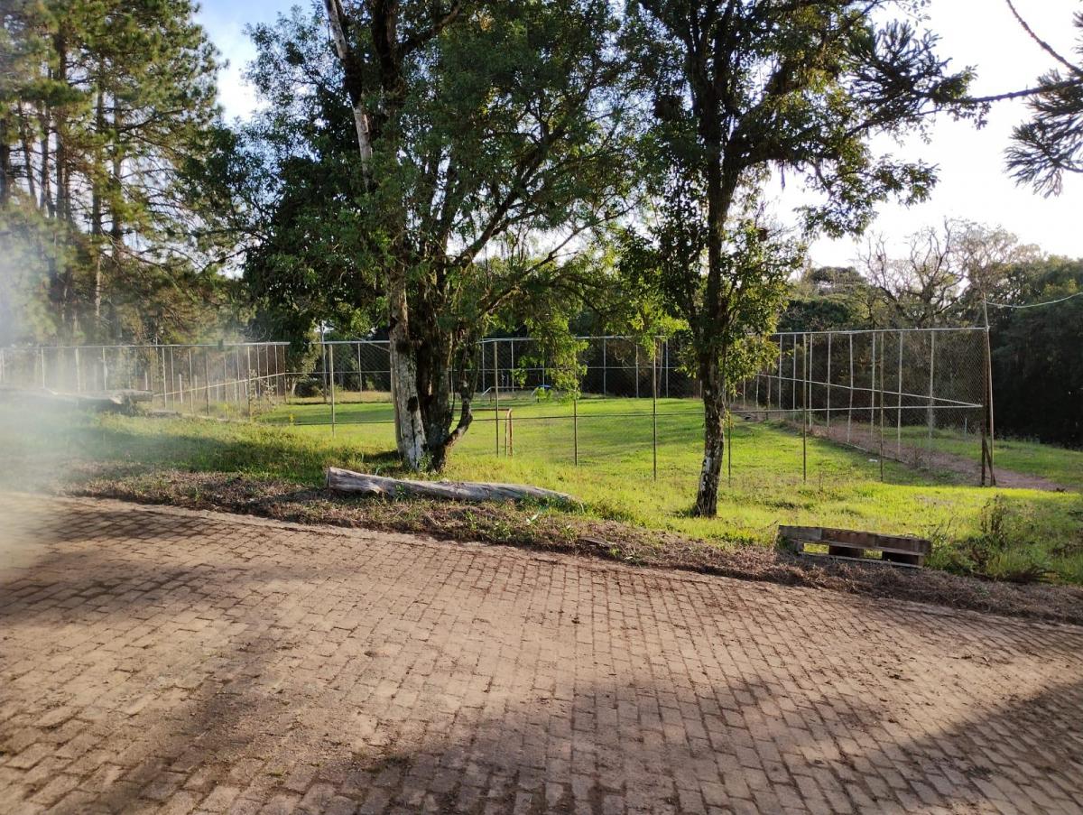 Foto - São José dos Pinhais - 