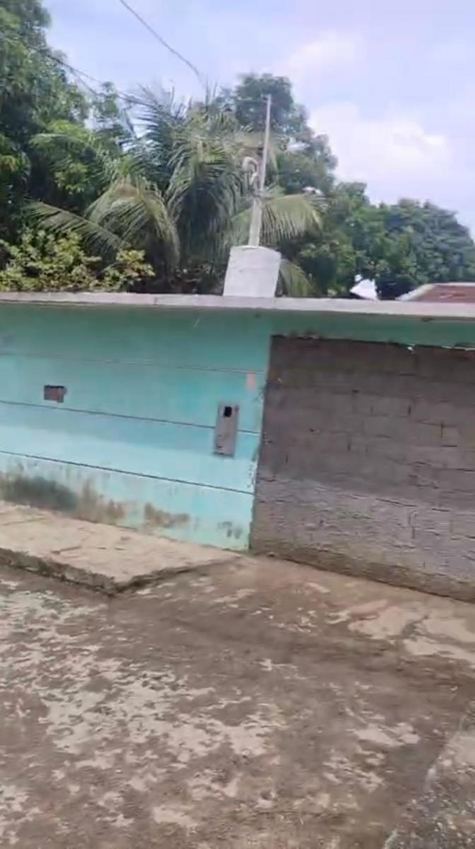 Foto - Manaus - Parque 10 de Novembro