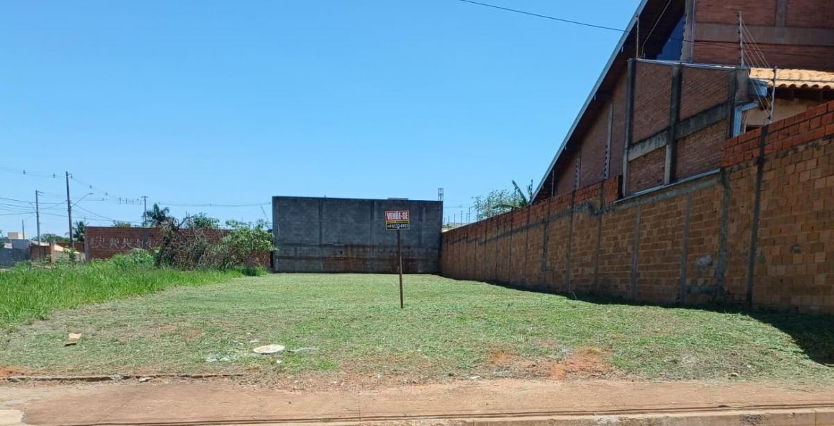 Foto - Araraquara - Cidade Jardim