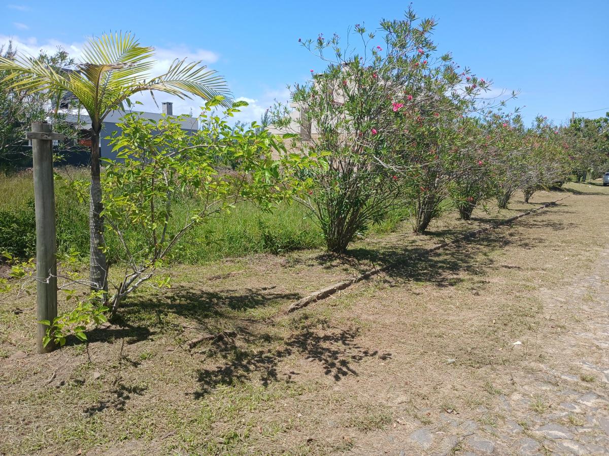 Foto - Balneário Gaivota - Balneario Gaivota