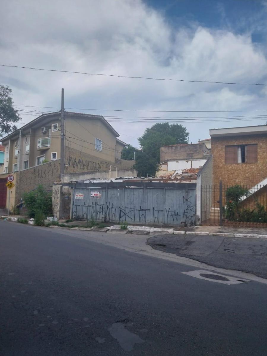 Foto - São Paulo - Cupecê