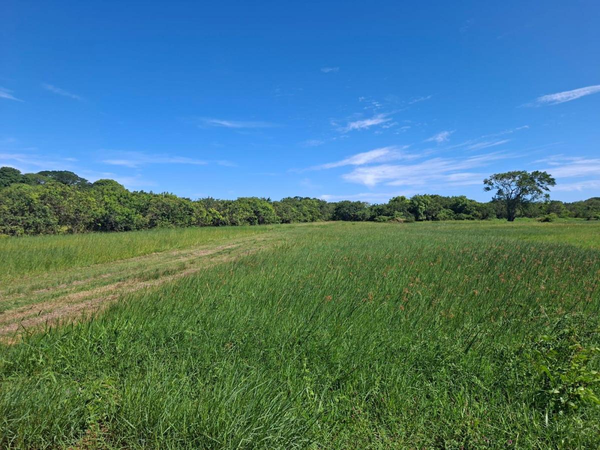 Foto - Tamoios - Unamar