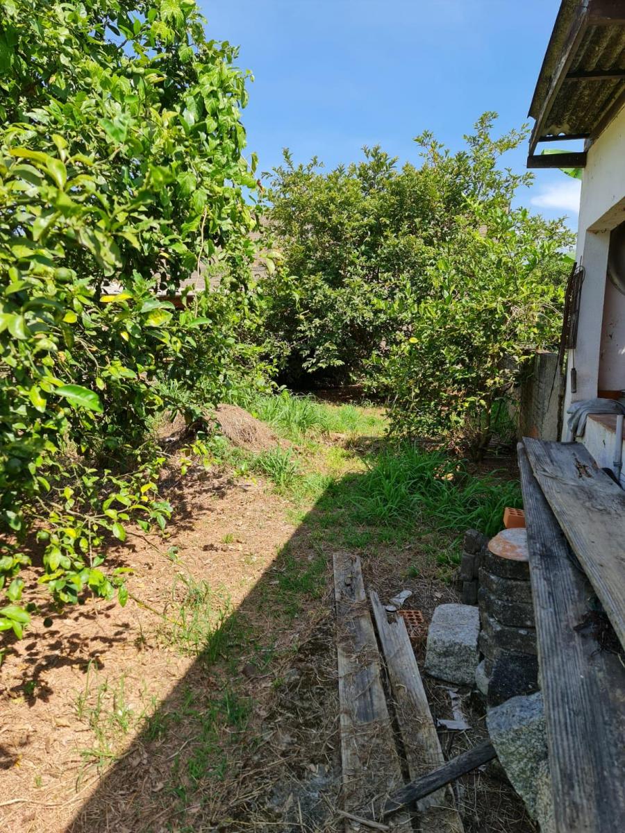 Foto - Antônio Carlos - Centro