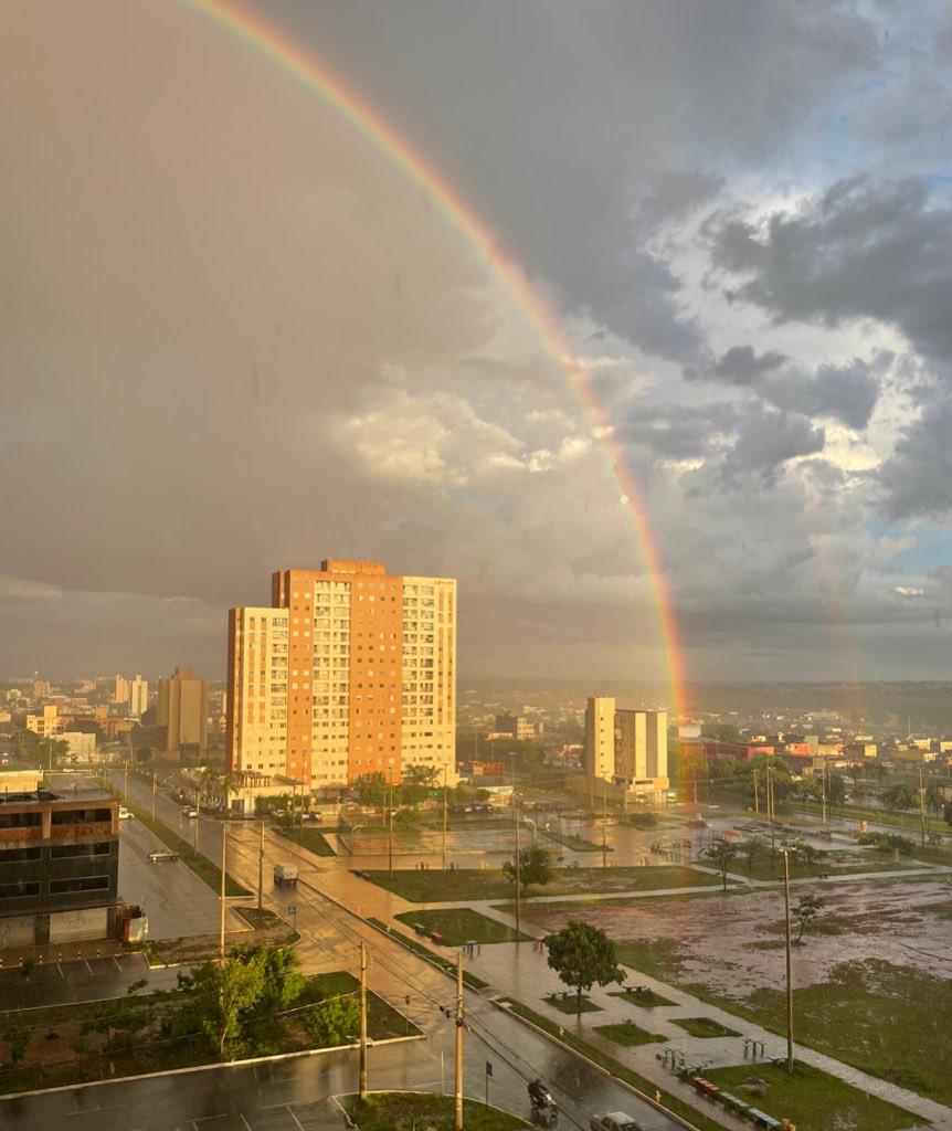 Foto - Samambaia - Samambaia