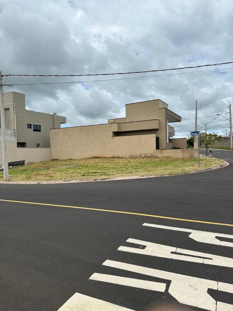 Foto - Mirassol - São Francisco de Assis I