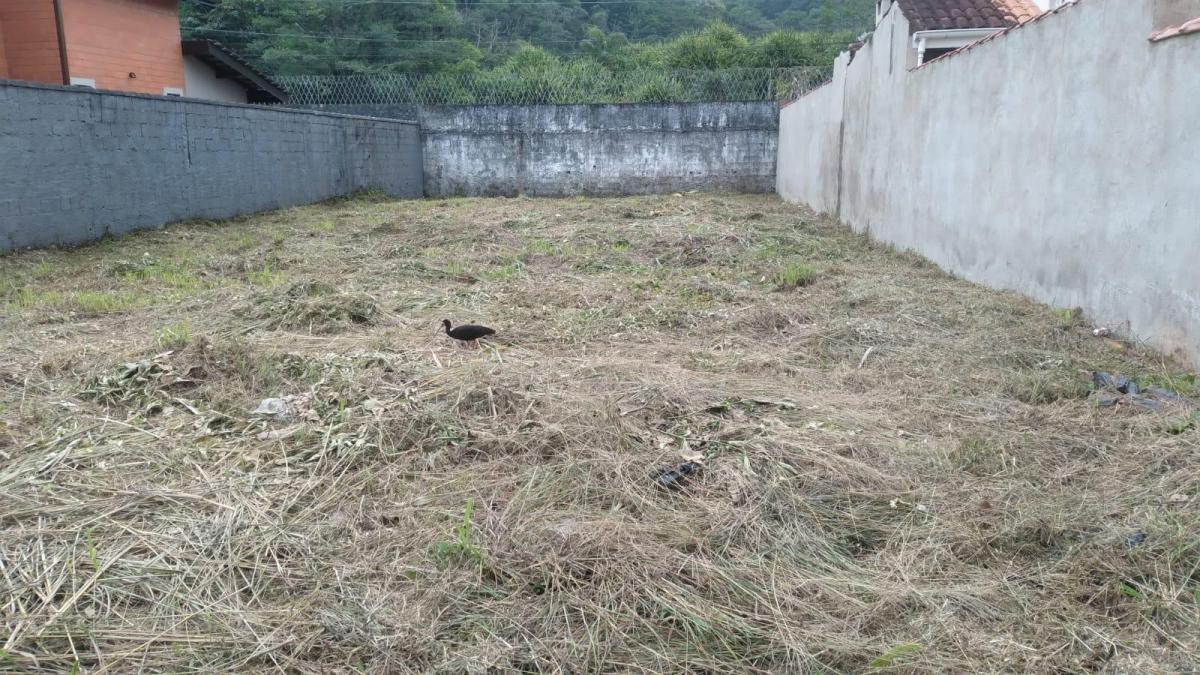 Foto - Guarujá - Jardim Tejereba