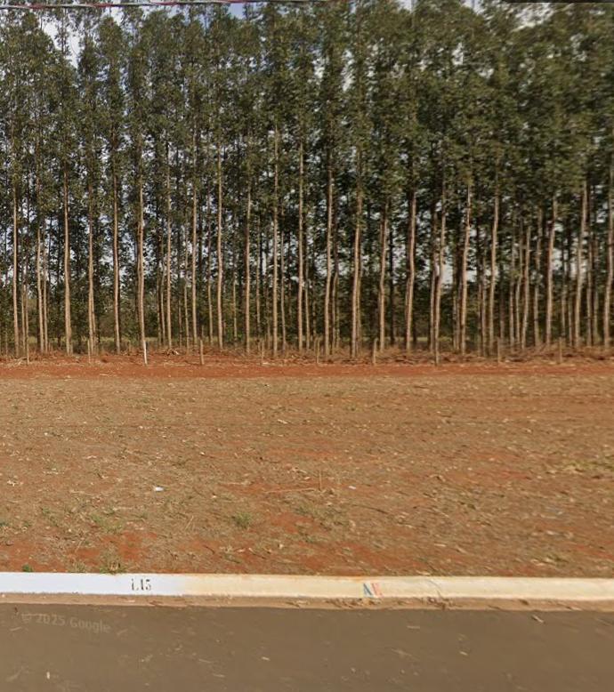 Foto - Leme - Jardim Serelepe