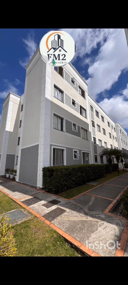 Foto - São José dos Pinhais - Iná