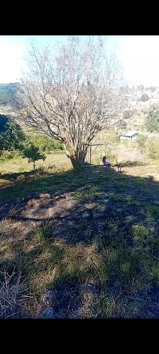 Foto - Piedade - Centro