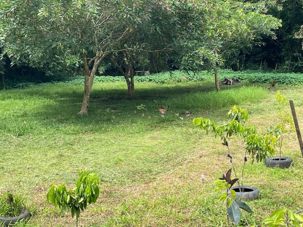 Foto - São Sebastião - Camburi