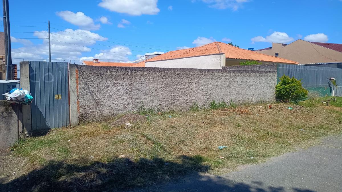 Foto - São José dos Pinhais - Ipê