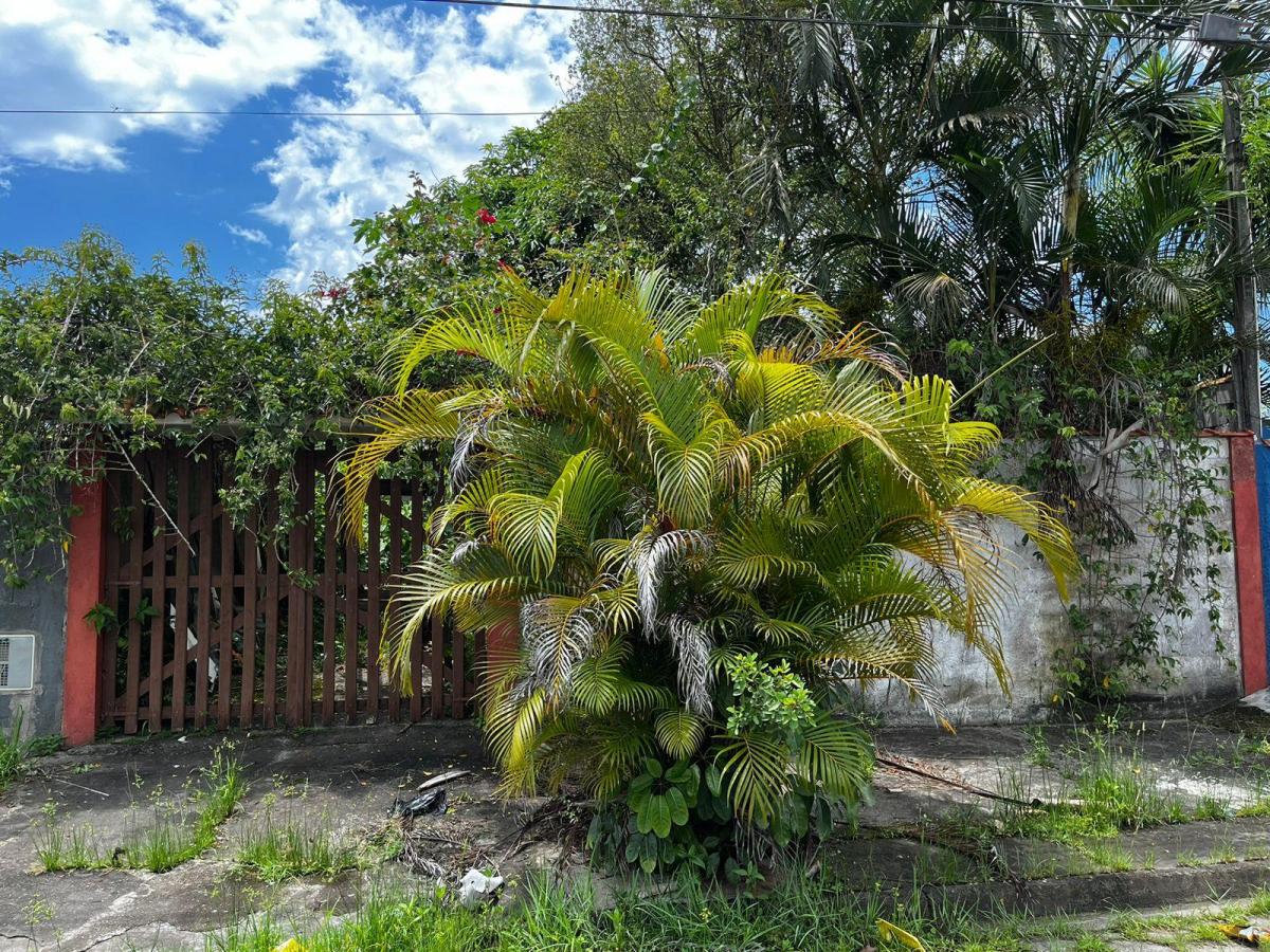 Foto - Peruíbe - Est. Balneario Maria Helena Novaes