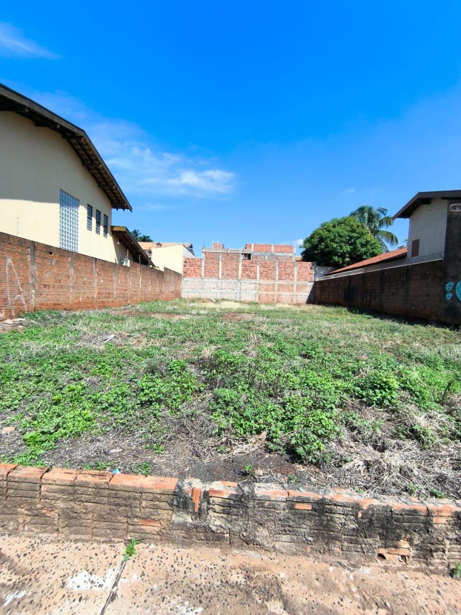 Foto - São José do Rio Preto - Jardim Tarraf II