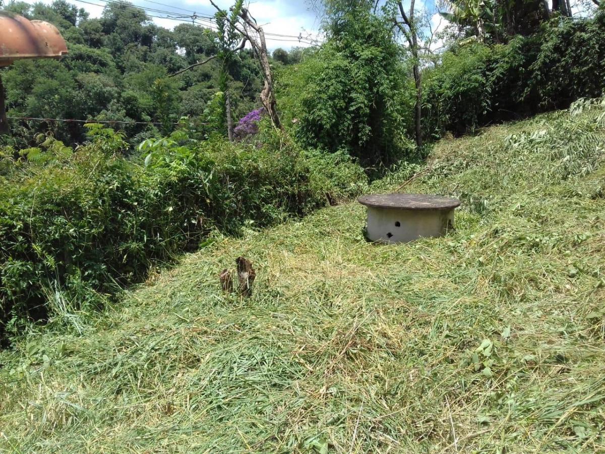 Foto - Jundiaí - Roseira