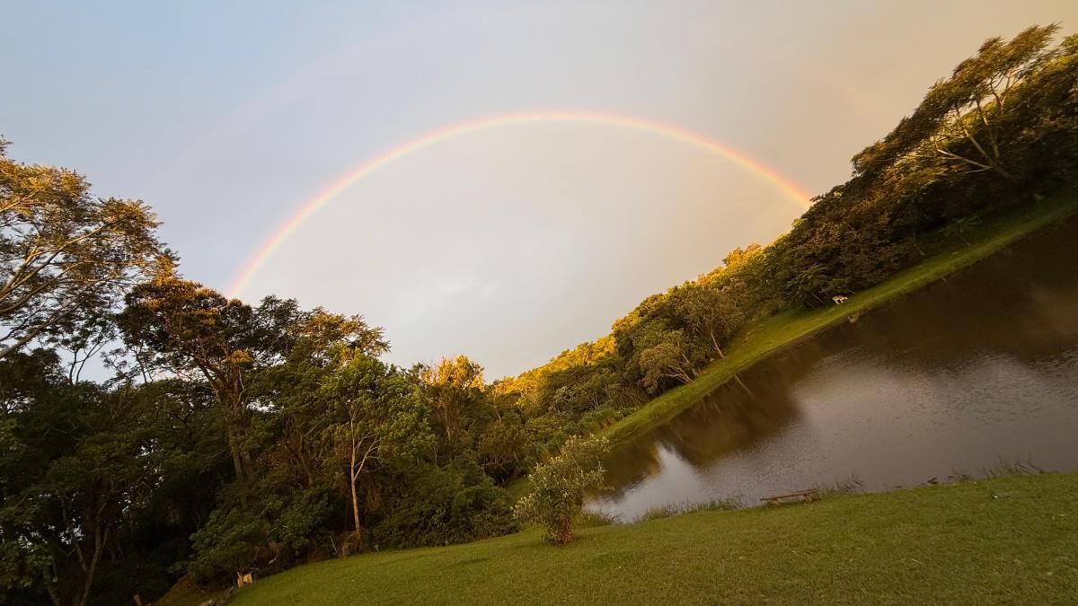 Foto - Porto Feliz - Avecuia do Alto