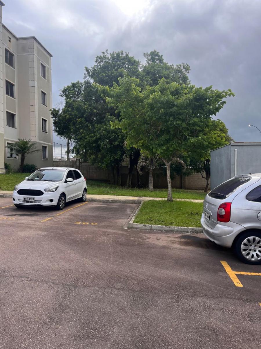 Foto - Araucária - Costeira